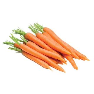 Carrot
