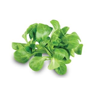 Matovilac 100 G