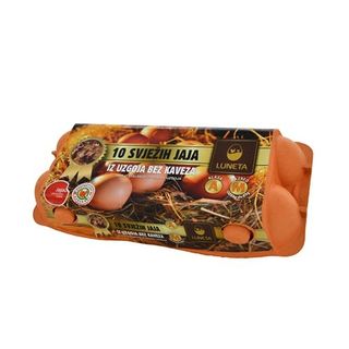 Jaja M Razred 10/1 Luneta