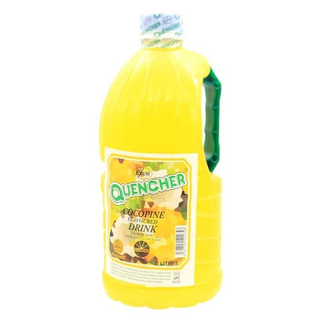 Excel Quencher Cocopine Drink 1l
