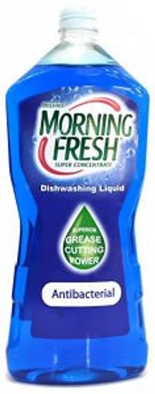 Morning Fresh Dishwashing Liquid Antibacteria 750ml