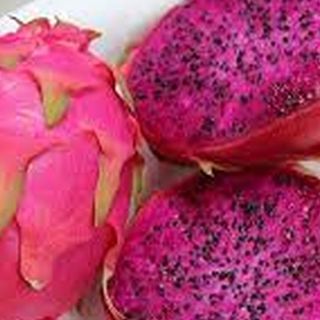 Pink Dragon Fruit, 1kg