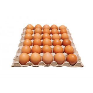 Free Range Local Eggs 15'S