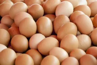 GUSTOVO Oua de gaina brune L 10 buc