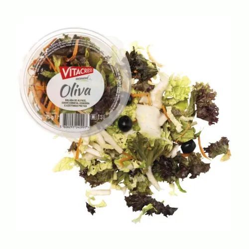 Salada, Preparados e Salteados