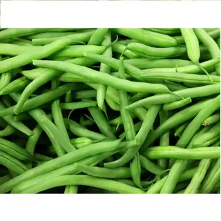 French Beans