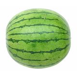 Water Melon Round Big 1Pc