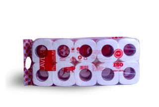 Lavex Toilet Paper 10Pck 300 Sheets