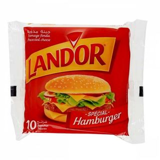 Fromage fondu spécial hamburger - LAND'OR (61)