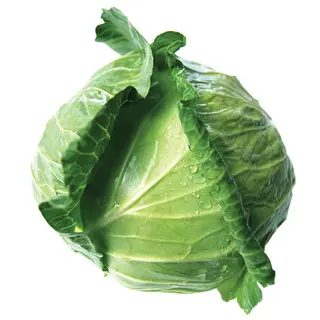 Kupus Mladi