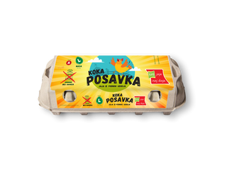 Jaja L 10/1 Koka Posavka