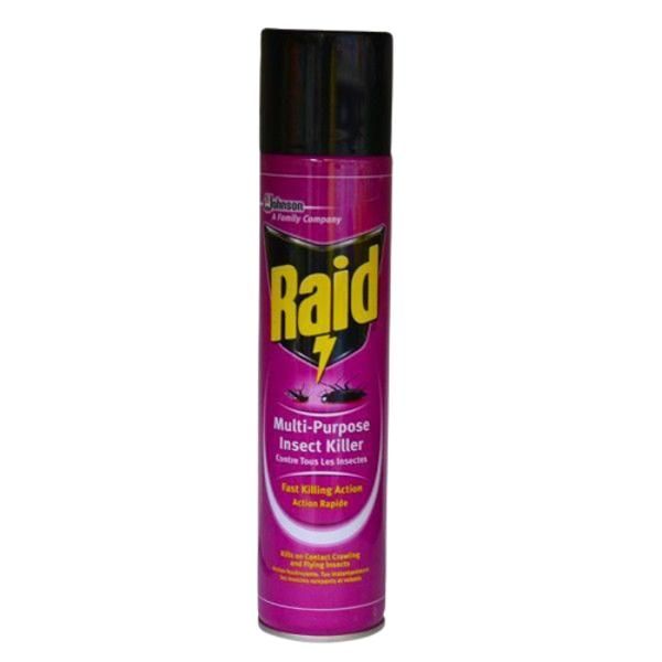 Raid Fast-Killing Multi-Purpose Insect Killer, 750Ml