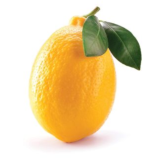 LIMUN