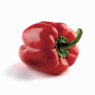 Paprika Babura Crvena