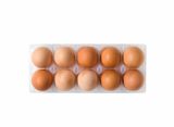 Хоризонт Кокоши яйца, размер L, 10 бр \ 00045140