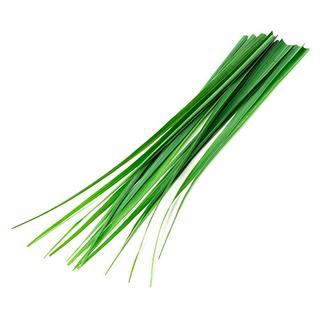 Lemon Grass