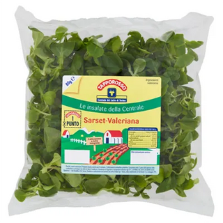 Slx Valerianella Gr.80 - 440084