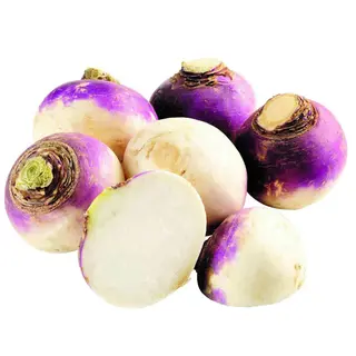 Turnip