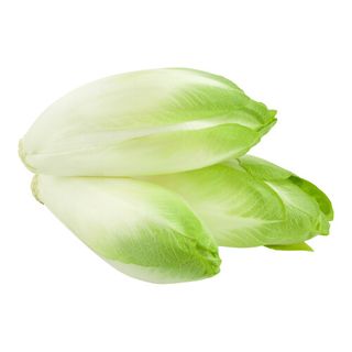 Indivia Belga Gr.500 - 440079