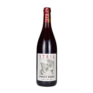 Alto Adige Pinot Nero 2021 Steil