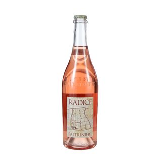 Lambrusco di Sorbara Radice 2022 - Paltrinieri - 0,75 l