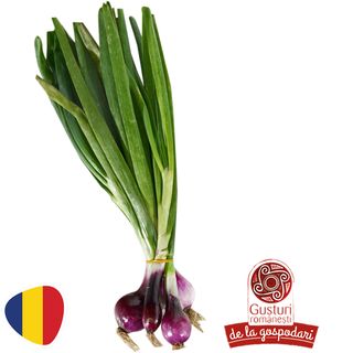 Gusturi romanesti Ceapa rosie legatura