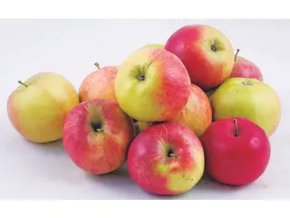Mere de vara Romania kg 27000207