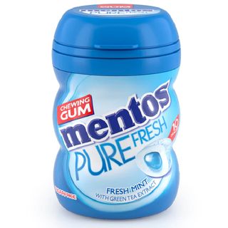 Mentos Chewing-Gum Fresh Mint Nano Bottle Pure Fresh sans sucre 17g