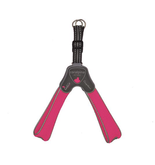 "Am CINQUETORRI roze fluo SZ7 50-60 cm"