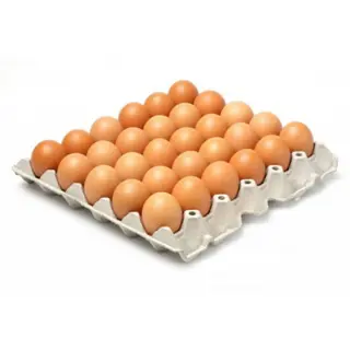 Œufs gros calibre x3 1,6Kg - COQUILLE D'OR