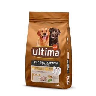 Affinity Ultima Medium / Maxi Golden & Labrador com Frango ração para cães - 14KGR