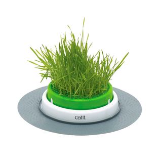 Catit Germinador De Hierba Gatera Recambio