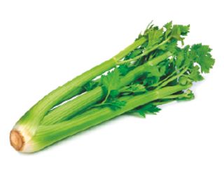 Apio Ecológico (Aprox. 80 Gr.)