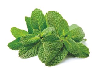 Bandeja Menta Ecológica Bandeja (Aprox. 50 Gr.)