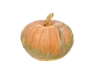 Calabaza De Asar Ecológica Unidad (Aprox. 2,5 Kg.)