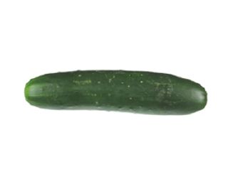 Pepino Ecológico Unidad (Aprox. 250 Gr.)