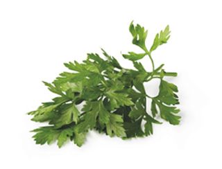 Perejil Ecológico Bandeja (Aprox. 50 Gr.)