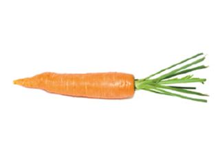 Zanahoria Ecológica Unidad (Aprox. 100 Gr.)