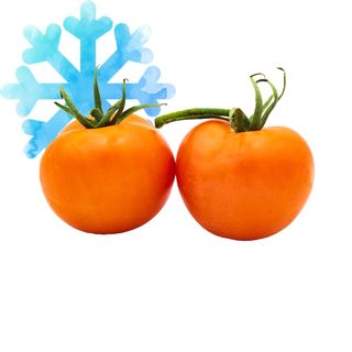 Tomate Rama Ecológico Unidad (Aprox. 100 Gr.)