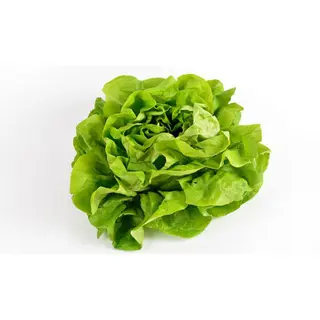 Zelena Salata 1Kg