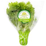 Салат Galicia Greenery Фрізе