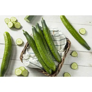 Cucumber English
