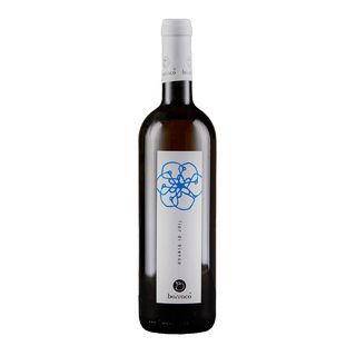 Terre Siciliane Fior di Bianco 2022 - Barraco - 0,75 l