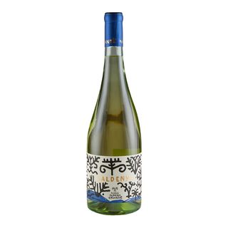 Vermentino di Sardegna Saldenya 2024 - Podere Guardia Grande - 0,75 l