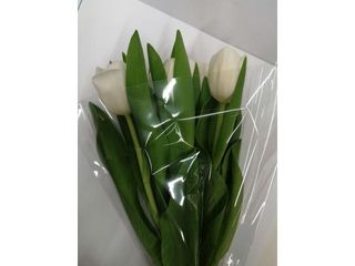 Buchet Lalele 5 Fire