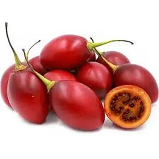 TREE TOMATO