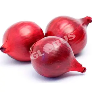 წითელი ხახვი, 1კგ