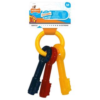 Puppy Teething Keys M