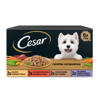 8 tarrinas x 150 g Cesar Receta campestre terrina en salsa para perros - Multipack