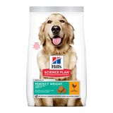 12 KG Hill's Science Plan Perfect Weight Adult Large Pollo pienso para perros